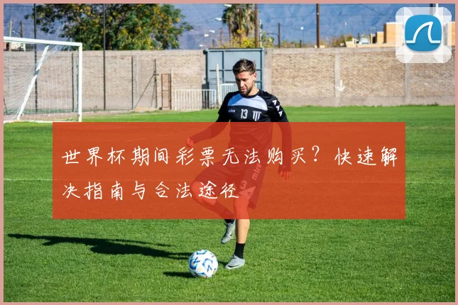 世界杯期间彩票无法购买？快速解决指南与合法途径