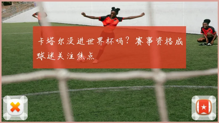 卡塔尔没进世界杯吗？赛事资格成球迷关注焦点