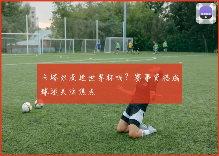 卡塔尔没进世界杯吗?赛事资格成球迷关注焦点