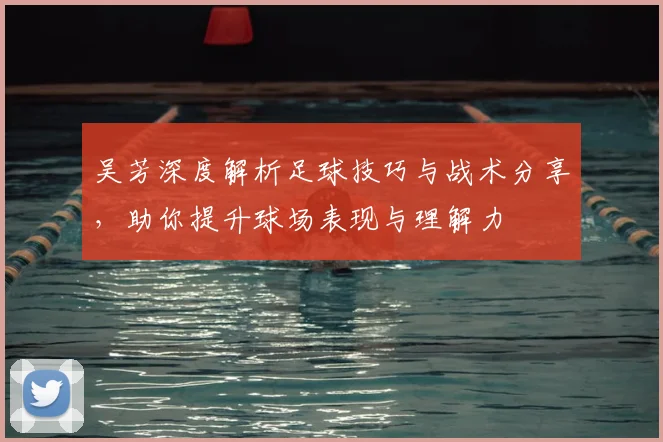 吴芳深度解析足球技巧与战术分享,助你提升球场表现与理解力