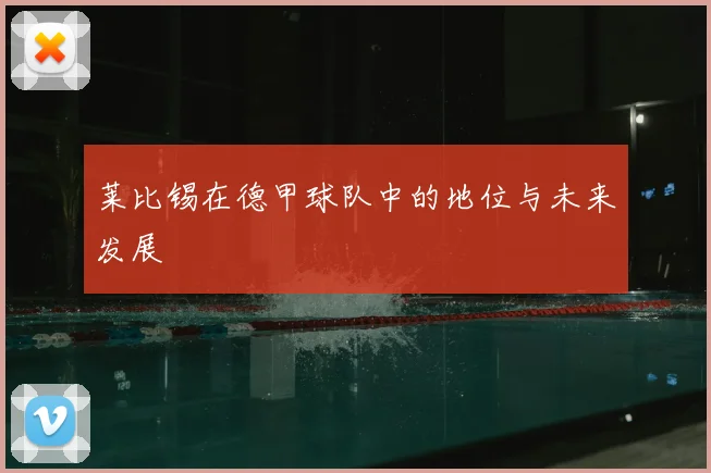 莱比锡在德甲球队中的地位与未来发展