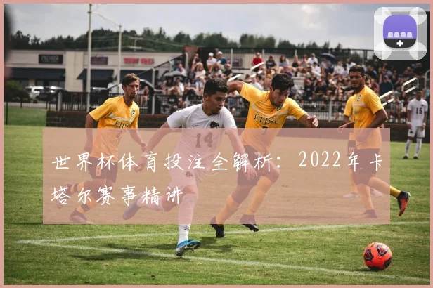 世界杯体育投注全解析：2022年卡塔尔赛事精讲