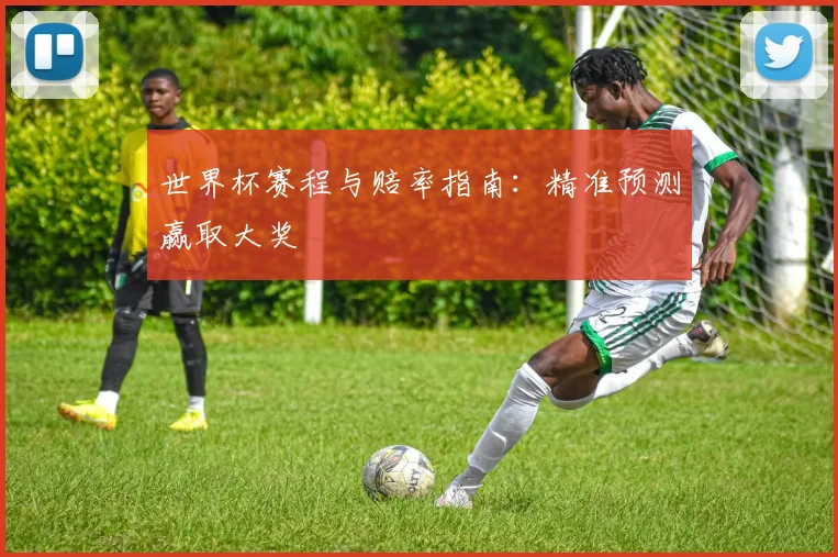 世界杯赛程与赔率指南：精准预测赢取大奖