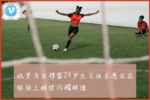 祝贾马尔穆雷29岁生日快乐愿你在球场上继续闪耀辉煌