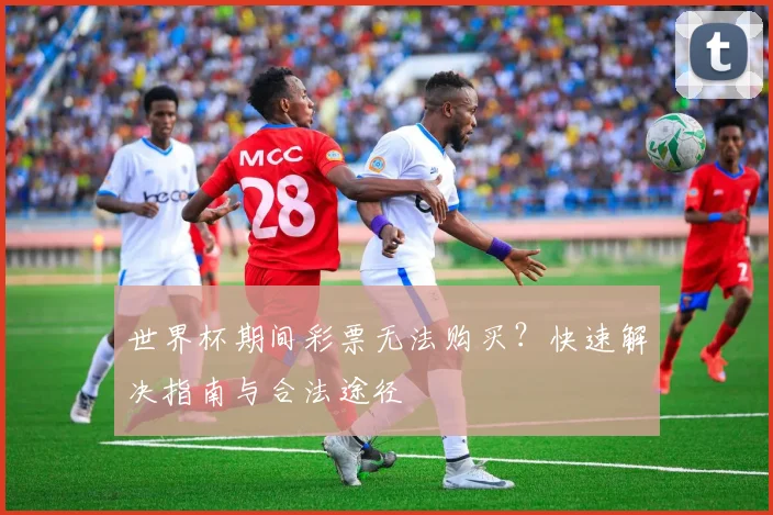世界杯期间彩票无法购买？快速解决指南与合法途径