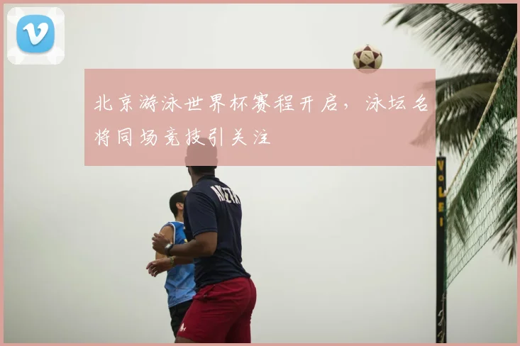 北京游泳世界杯赛程开启，泳坛名将同场竞技引关注