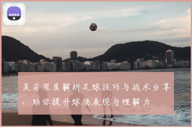 吴芳深度解析足球技巧与战术分享,助你提升球场表现与理解力
