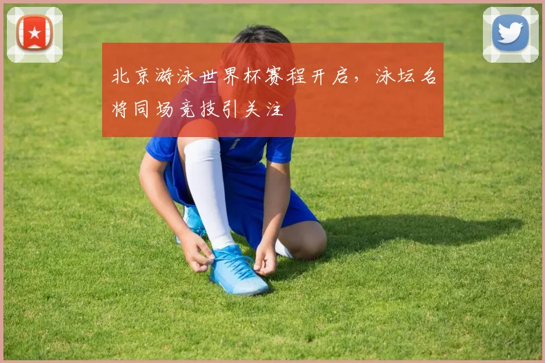 北京游泳世界杯赛程开启，泳坛名将同场竞技引关注