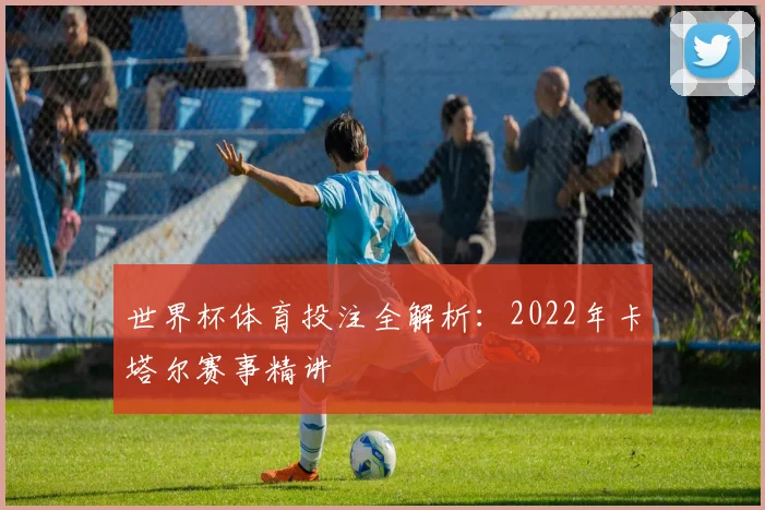 世界杯体育投注全解析：2022年卡塔尔赛事精讲